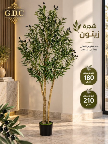 شجرة زيتون